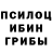 Псилоцибиновые грибы Psilocybine cubensis Aliled Rebeca
