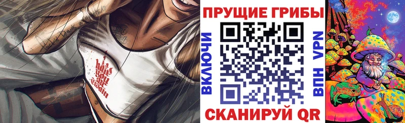 kraken зеркало  Закаменск  Галлюциногенные грибы Cubensis 